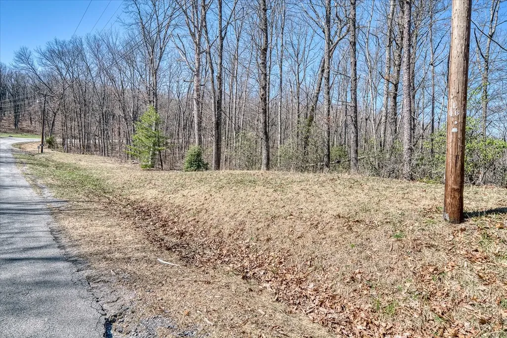 0 Lots 734 & 735 Renegade Parkway Crab Orchard TN 37723