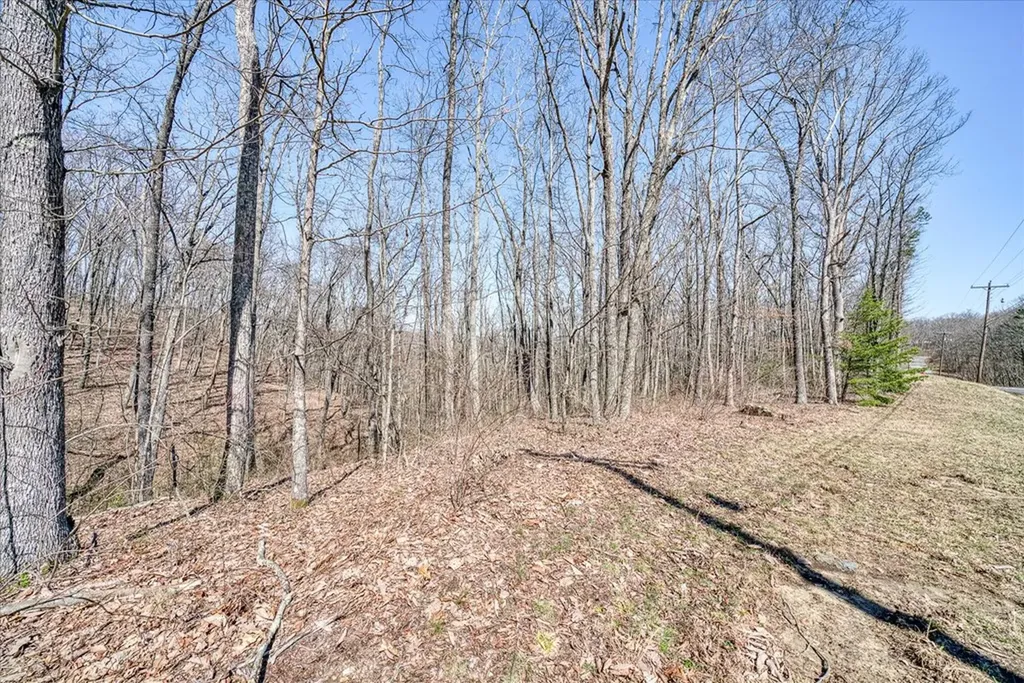 0 Lots 734 & 735 Renegade Parkway Crab Orchard TN 37723