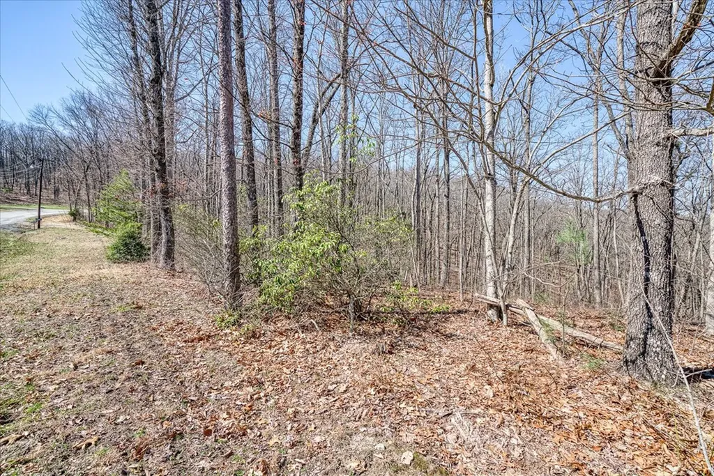 0 Lots 734 & 735 Renegade Parkway Crab Orchard TN 37723