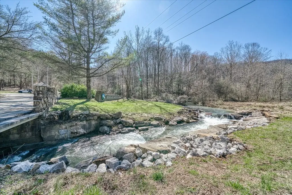 0 Lots 734 & 735 Renegade Parkway Crab Orchard TN 37723