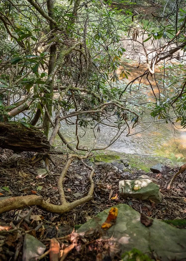 469 Ferry Bend Trail Crossville TN 38571