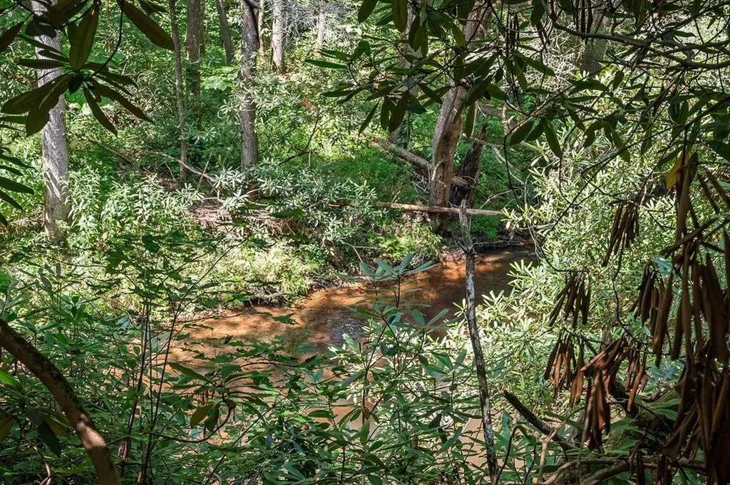 469 Ferry Bend Trail Crossville TN 38571