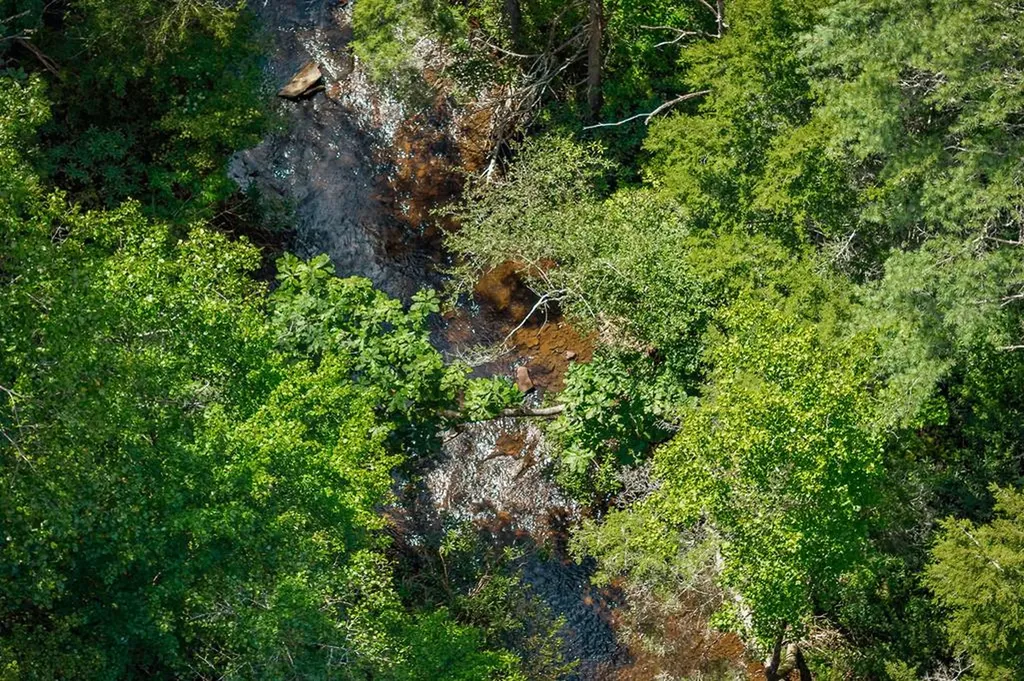 469 Ferry Bend Trail Crossville TN 38571