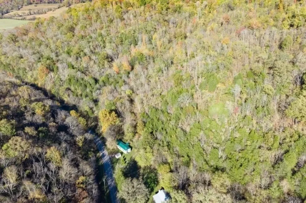 1748 Dry Fork Road Granville TN 38564-5116