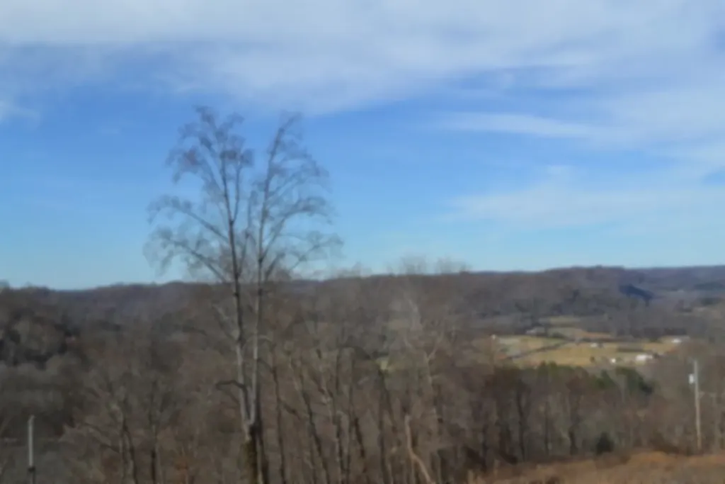5AC Schelley Road Gainesboro TN 38562