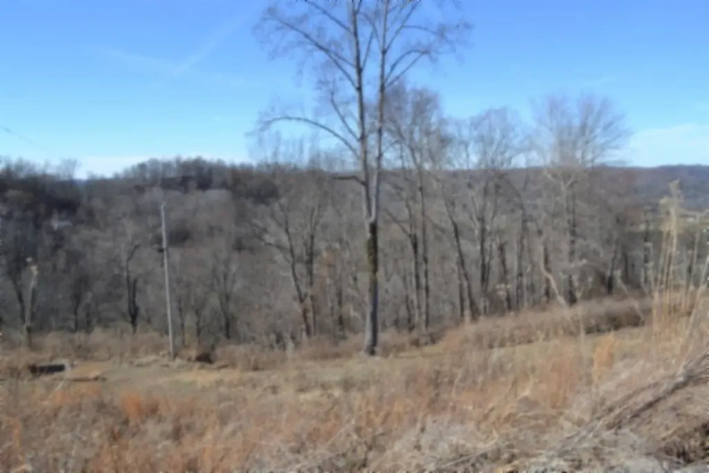 5AC Schelley Road Gainesboro TN 38562