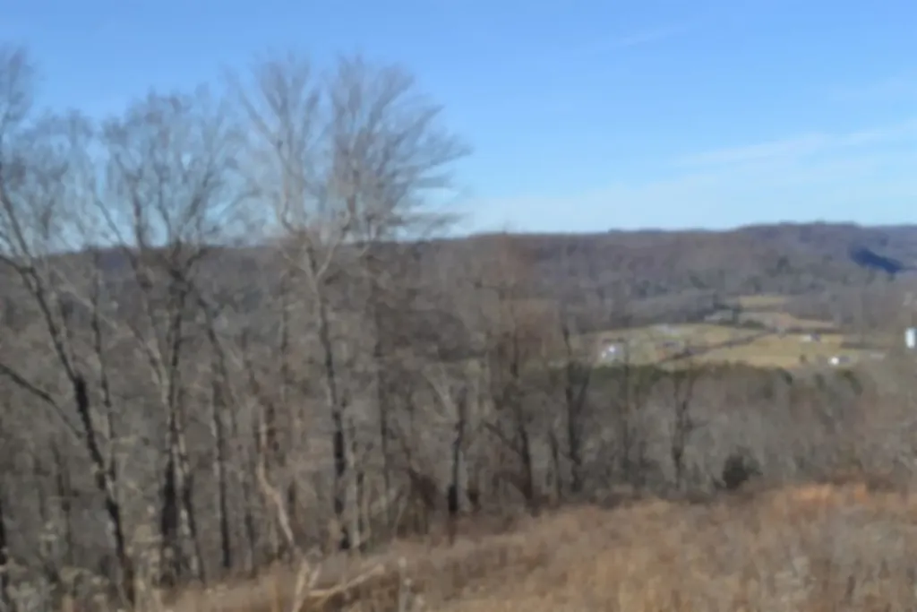 5AC Schelley Road Gainesboro TN 38562