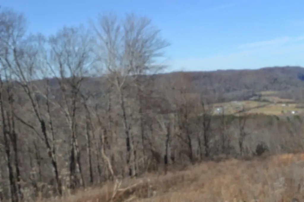 5AC Schelley Road Gainesboro TN 38562