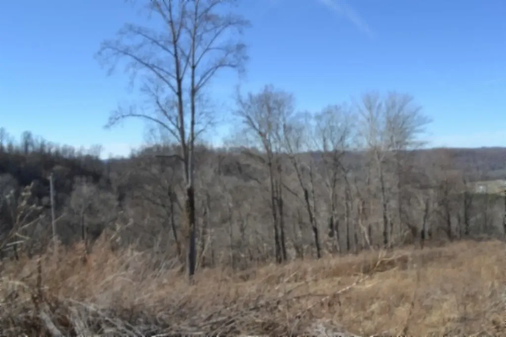 5AC Schelley Road Gainesboro TN 38562