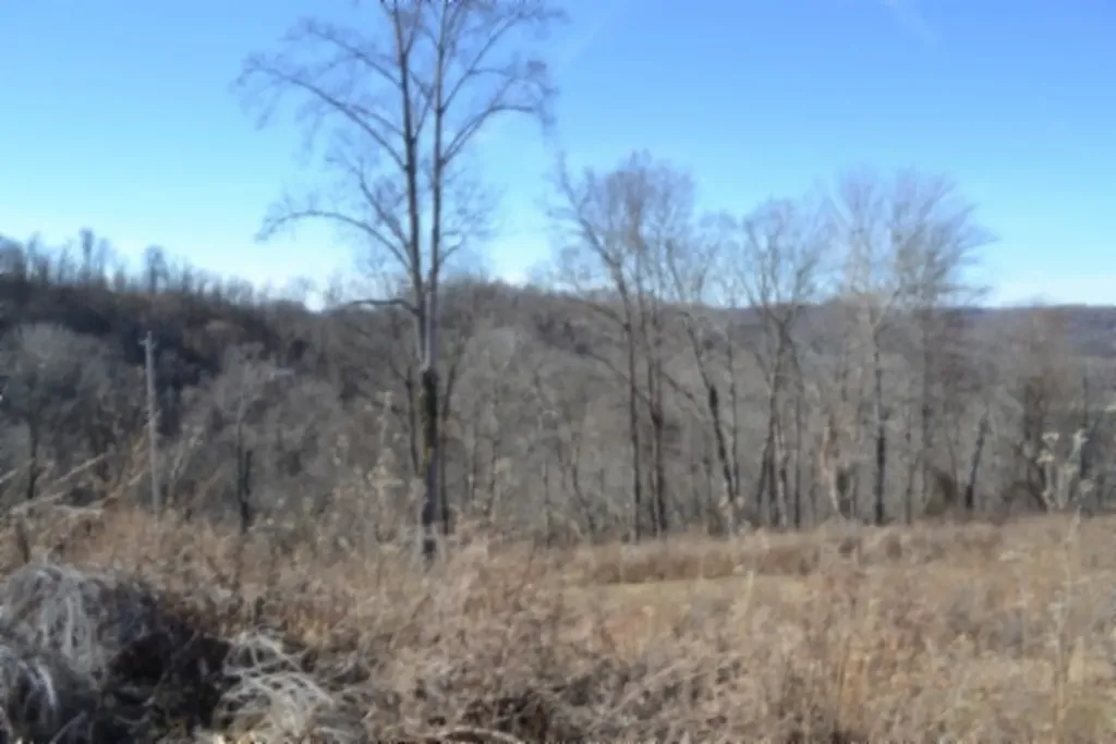 5AC Schelley Road Gainesboro TN 38562