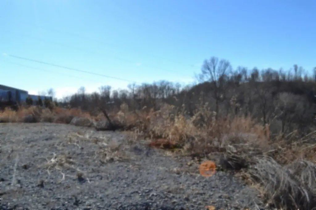 5AC Schelley Road Gainesboro TN 38562