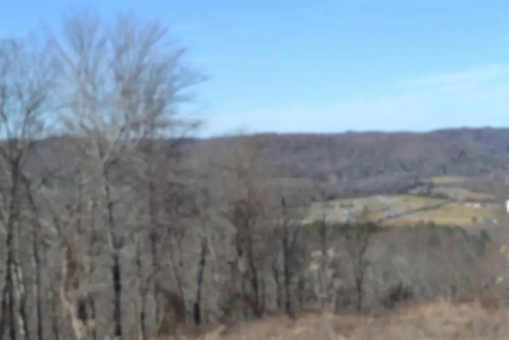 5AC Schelley Road Gainesboro TN 38562