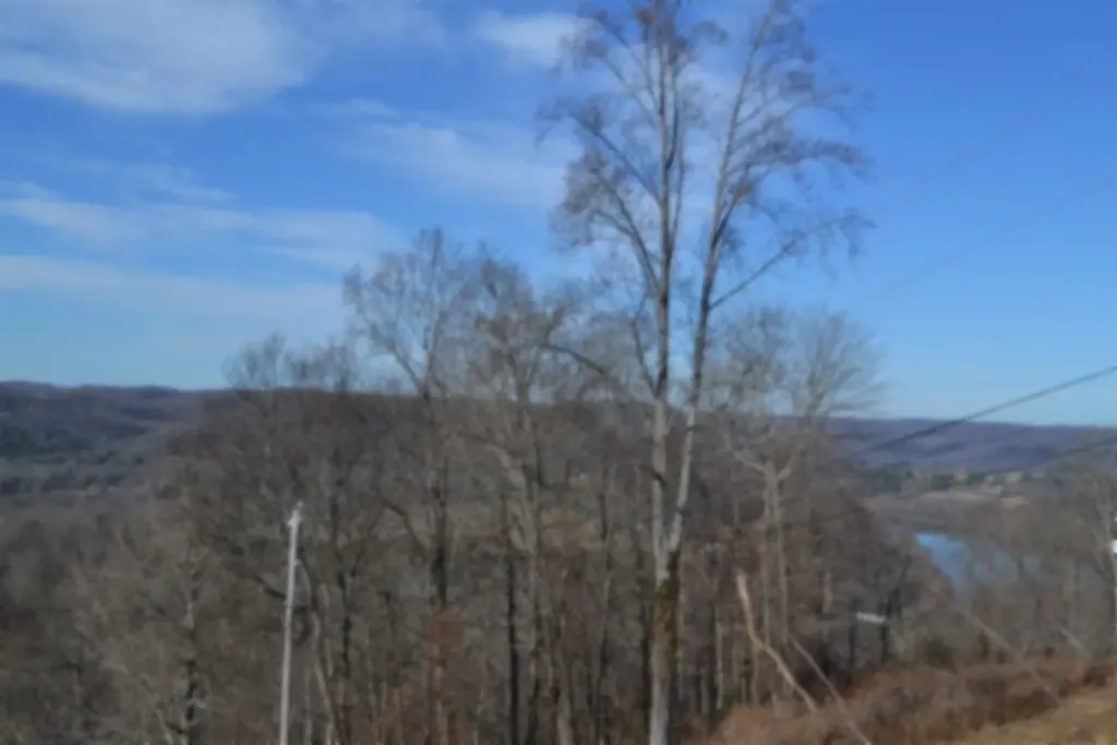 5AC Schelley Road Gainesboro TN 38562