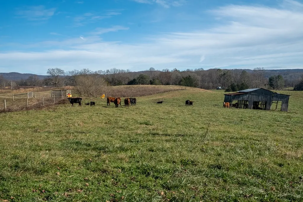 1545 Blue Springs Road Sparta TN 38583