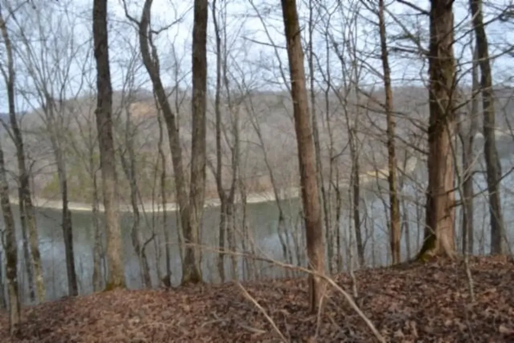 6.49AC Garrett Town Lane Monroe TN 38573