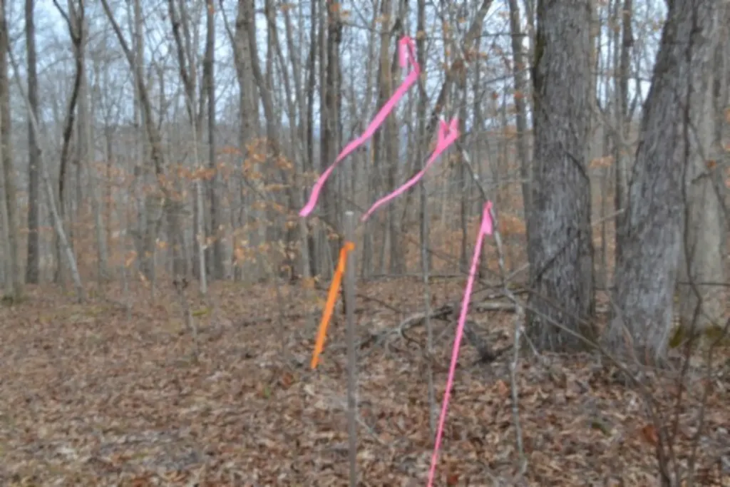 6.49AC Garrett Town Lane Monroe TN 38573