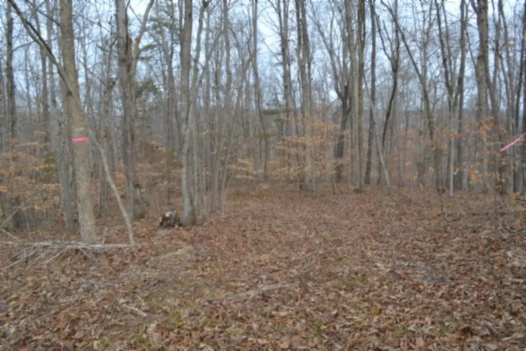 6.49AC Garrett Town Lane Monroe TN 38573