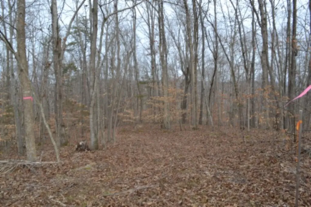 6.49AC Garrett Town Lane Monroe TN 38573