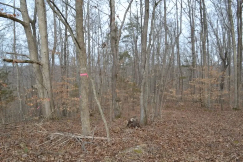 6.49AC Garrett Town Lane Monroe TN 38573