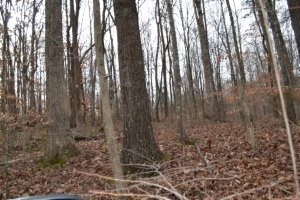 6.49AC Garrett Town Lane Monroe TN 38573