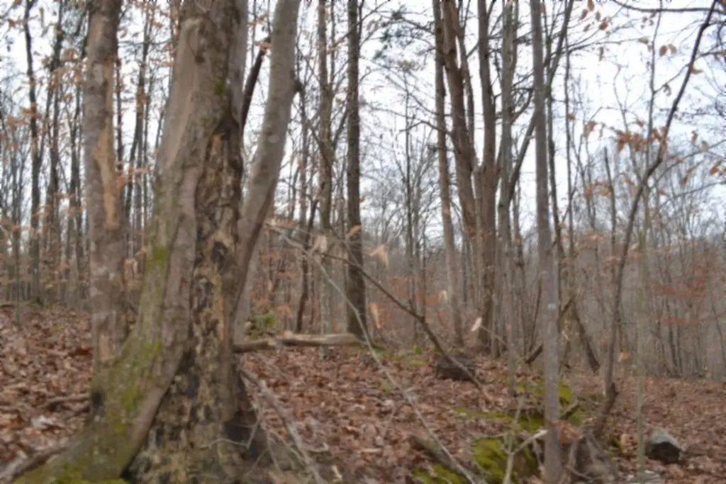 6.49AC Garrett Town Lane Monroe TN 38573