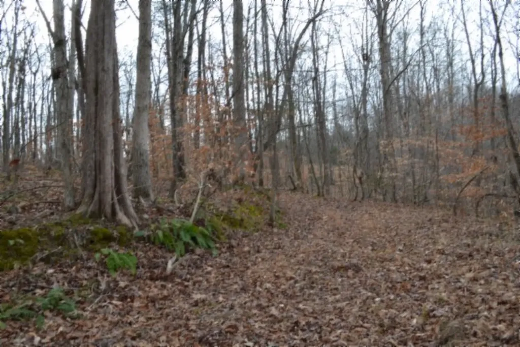 6.49AC Garrett Town Lane Monroe TN 38573