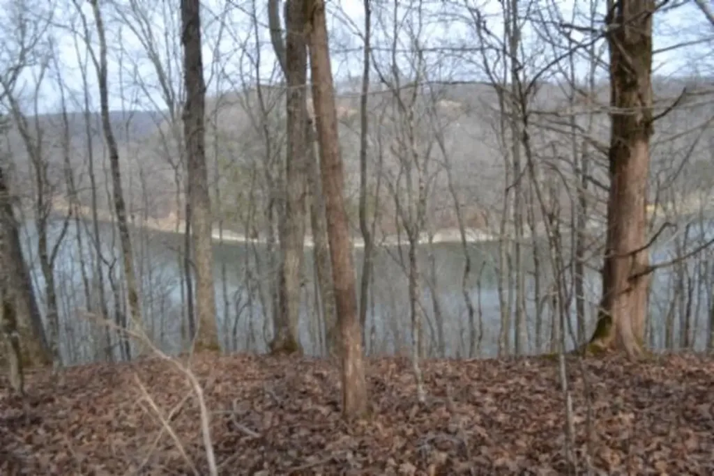 6.49AC Garrett Town Lane Monroe TN 38573