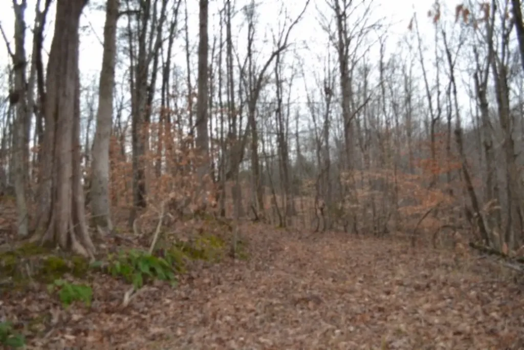 6.49AC Garrett Town Lane Monroe TN 38573
