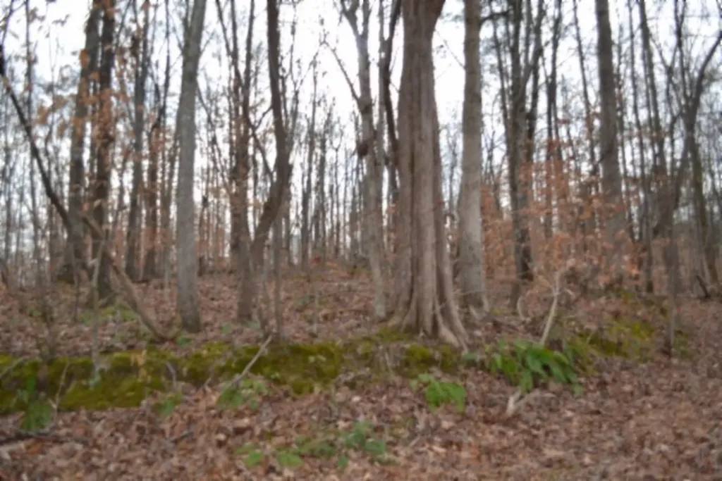 6.49AC Garrett Town Lane Monroe TN 38573