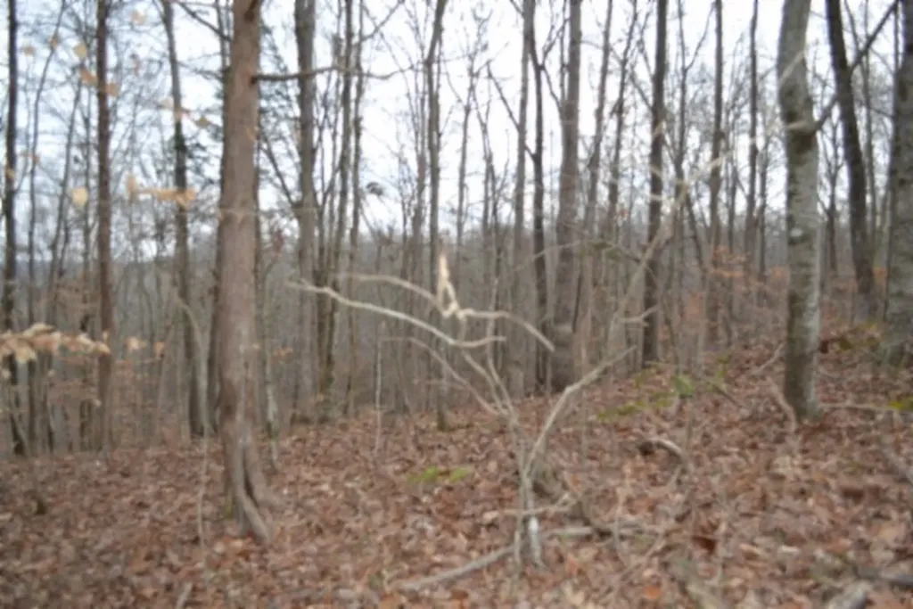 6.49AC Garrett Town Lane Monroe TN 38573