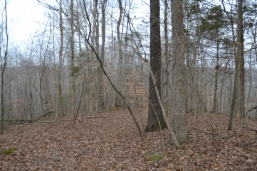 6.49AC Garrett Town Lane Monroe TN 38573