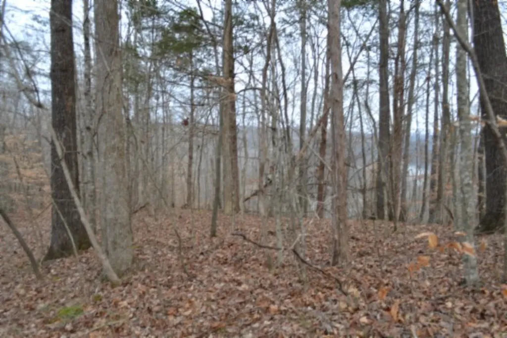 6.49AC Garrett Town Lane Monroe TN 38573