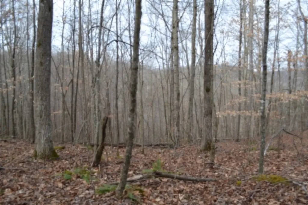 6.49AC Garrett Town Lane Monroe TN 38573