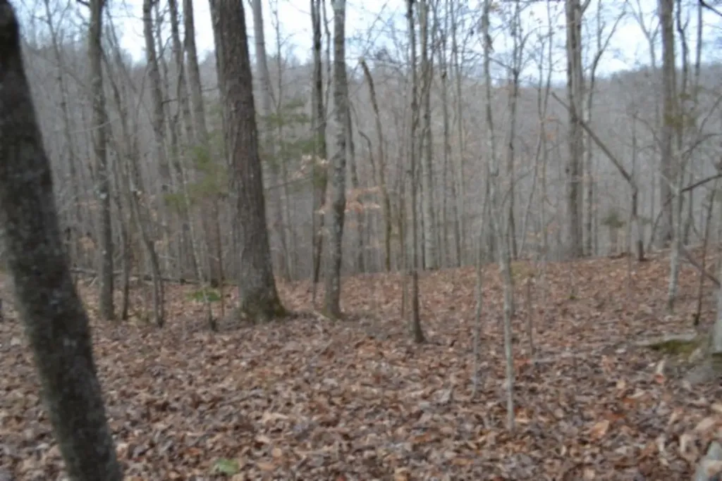 6.49AC Garrett Town Lane Monroe TN 38573