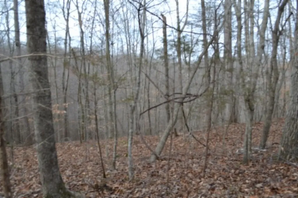 6.49AC Garrett Town Lane Monroe TN 38573