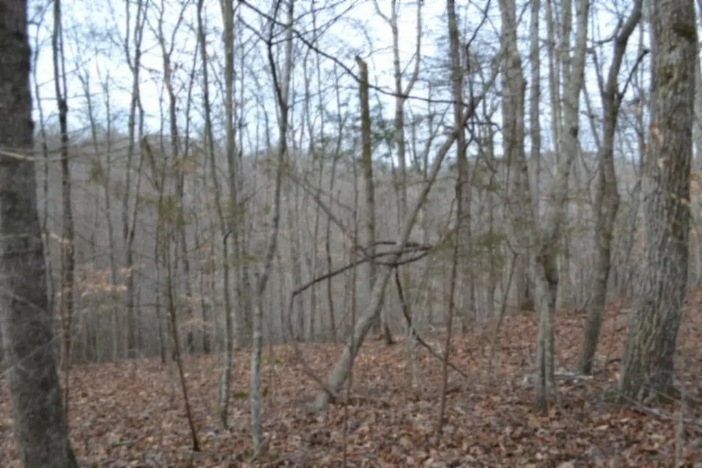 6.49AC Garrett Town Lane Monroe TN 38573