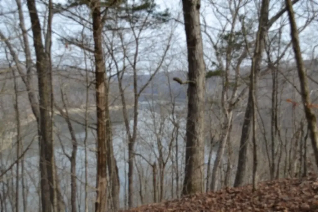 6.49AC Garrett Town Lane Monroe TN 38573