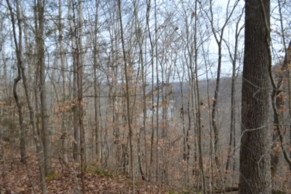 6.49AC Garrett Town Lane Monroe TN 38573