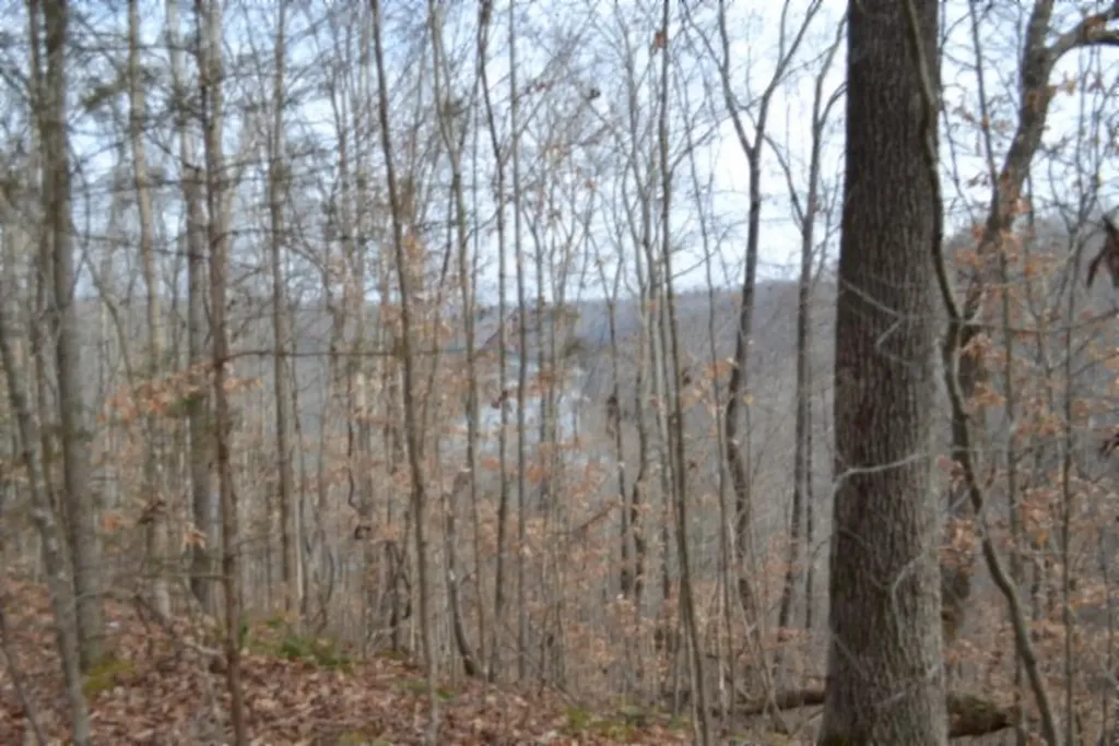 6.49AC Garrett Town Lane Monroe TN 38573