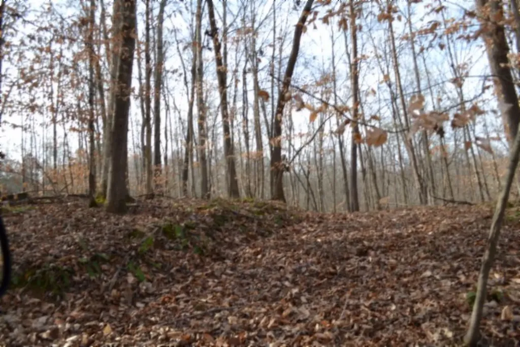 6.49AC Garrett Town Lane Monroe TN 38573