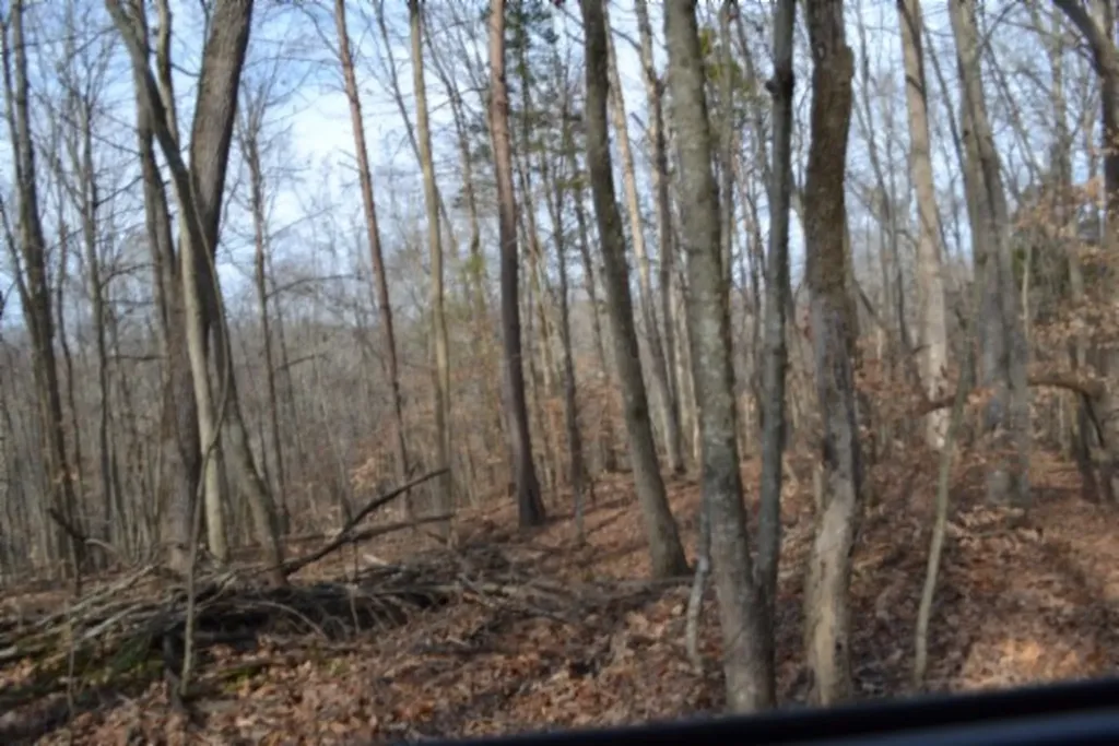 6.49AC Garrett Town Lane Monroe TN 38573
