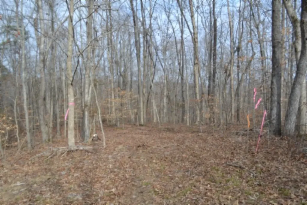 6.49AC Garrett Town Lane Monroe TN 38573