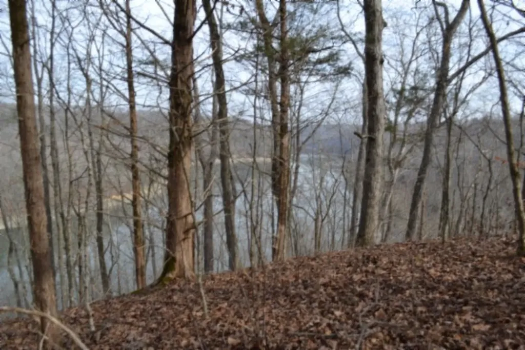 6.49AC Garrett Town Lane Monroe TN 38573