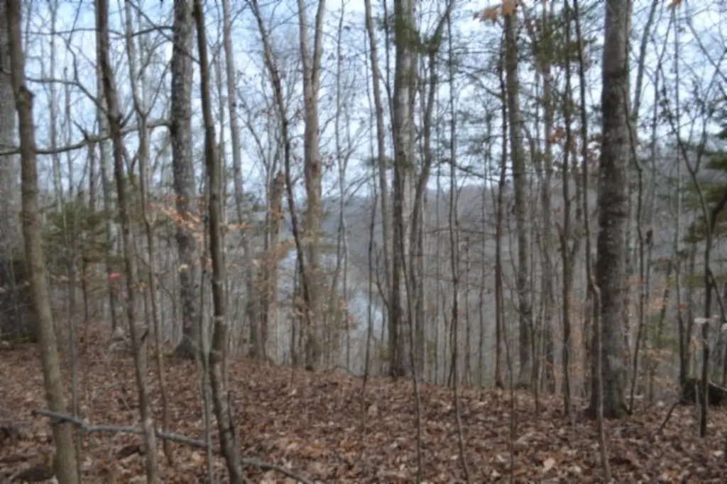 6.49AC Garrett Town Lane Monroe TN 38573