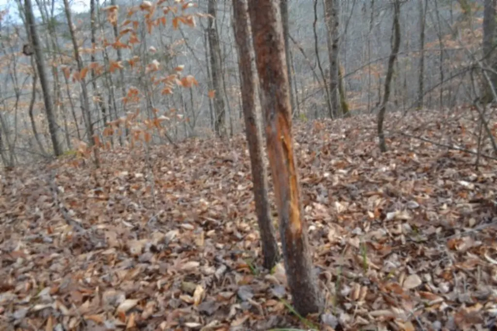 6.49AC Garrett Town Lane Monroe TN 38573