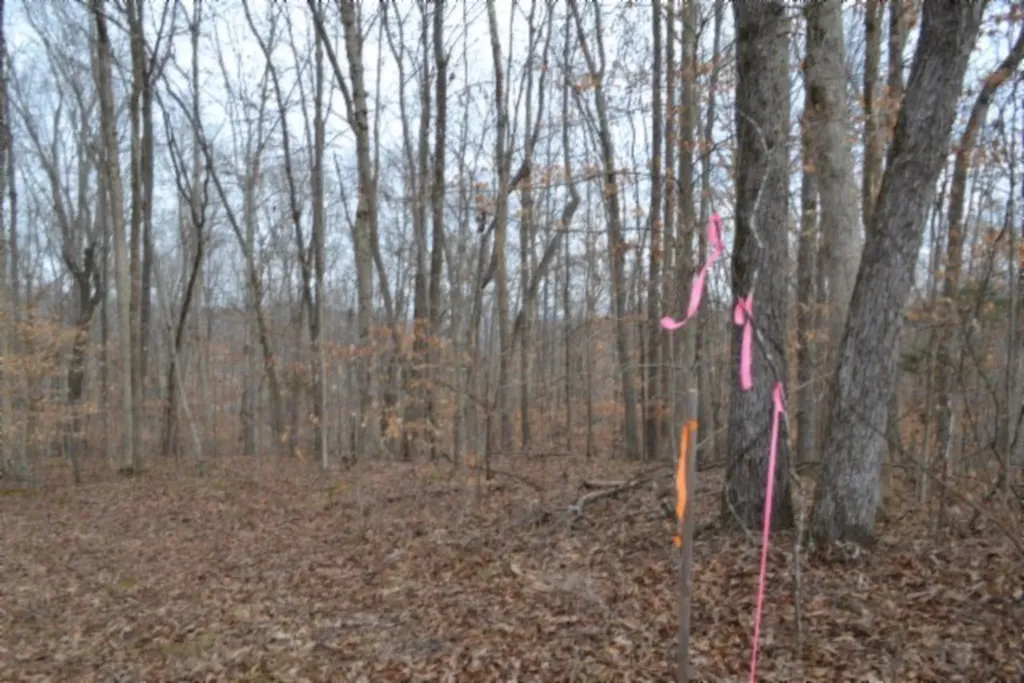 6.49AC Garrett Town Lane Monroe TN 38573