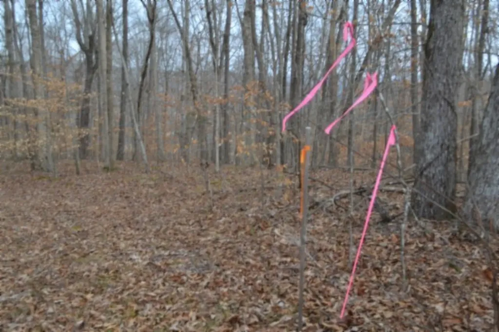 6.49AC Garrett Town Lane Monroe TN 38573