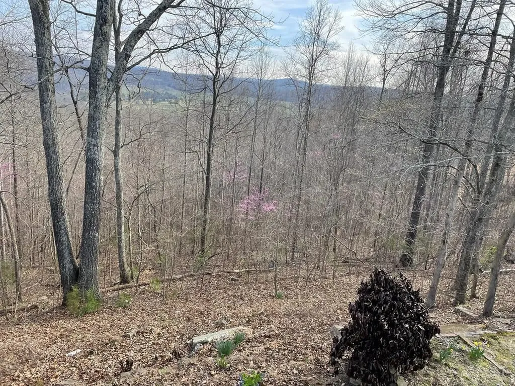 1570 Verna Qualls Road Sparta TN 38583