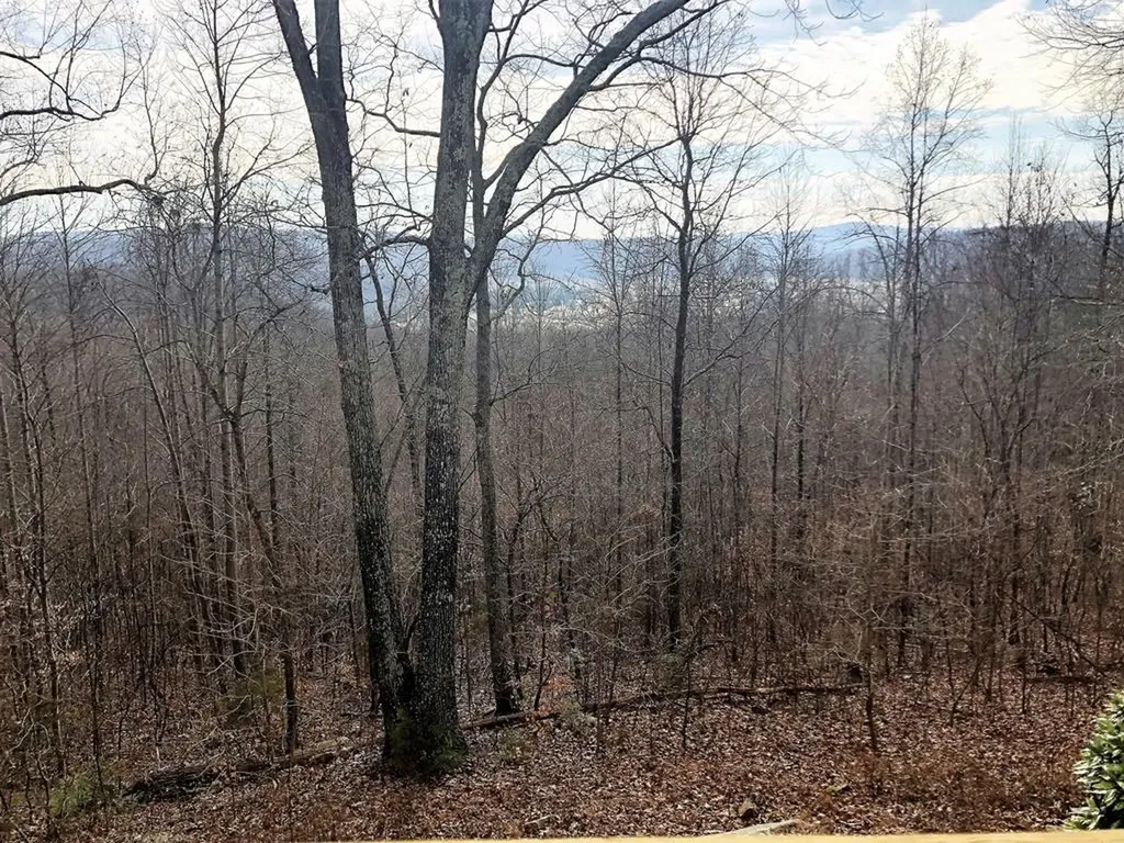 1570 Verna Qualls Road Sparta TN 38583