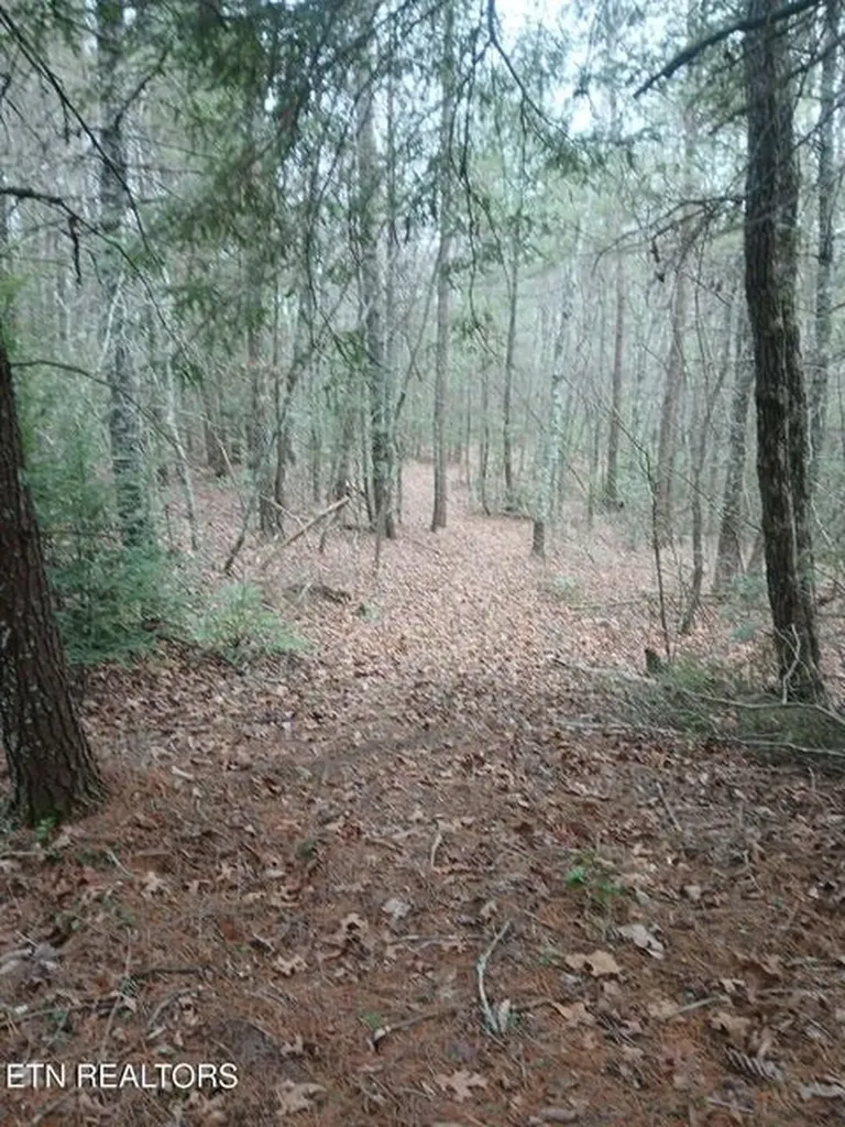 0 Wild Magnolia Jamestown TN 38556
